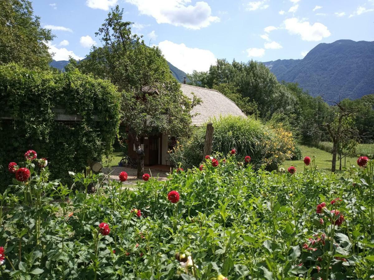 Holiday House Zeleni Gaj Bovec Exterior foto